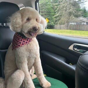 Meet your Posher, Melanie